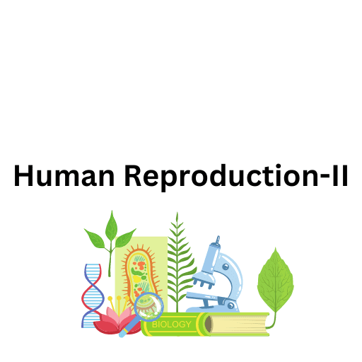 Human Reproduction-II